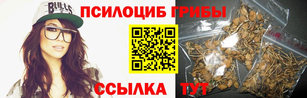 Галлюциногенные грибы GOLDEN TEACHER Кимры
