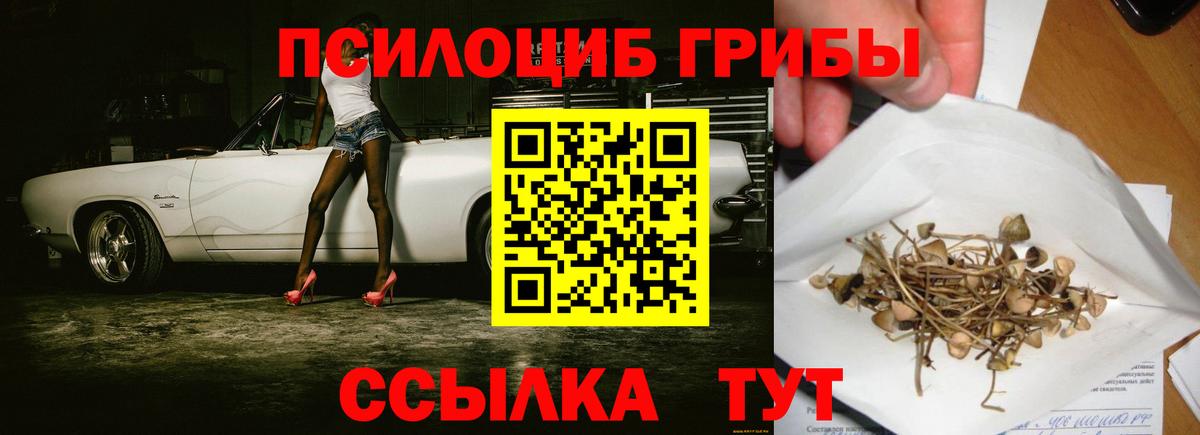 Кимры  Псилоцибиновые грибы Psilocybe  Галлюциногенные грибы ЛСД  Вход с VPN 